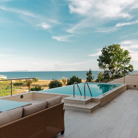 Villa Vasillis-Heated Swimming Pool With Infinity View Vitalades Exterior photo